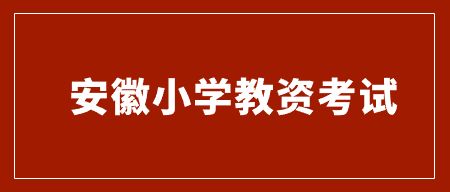 安徽小學(xué)數(shù)學(xué)教資要考什么科目？